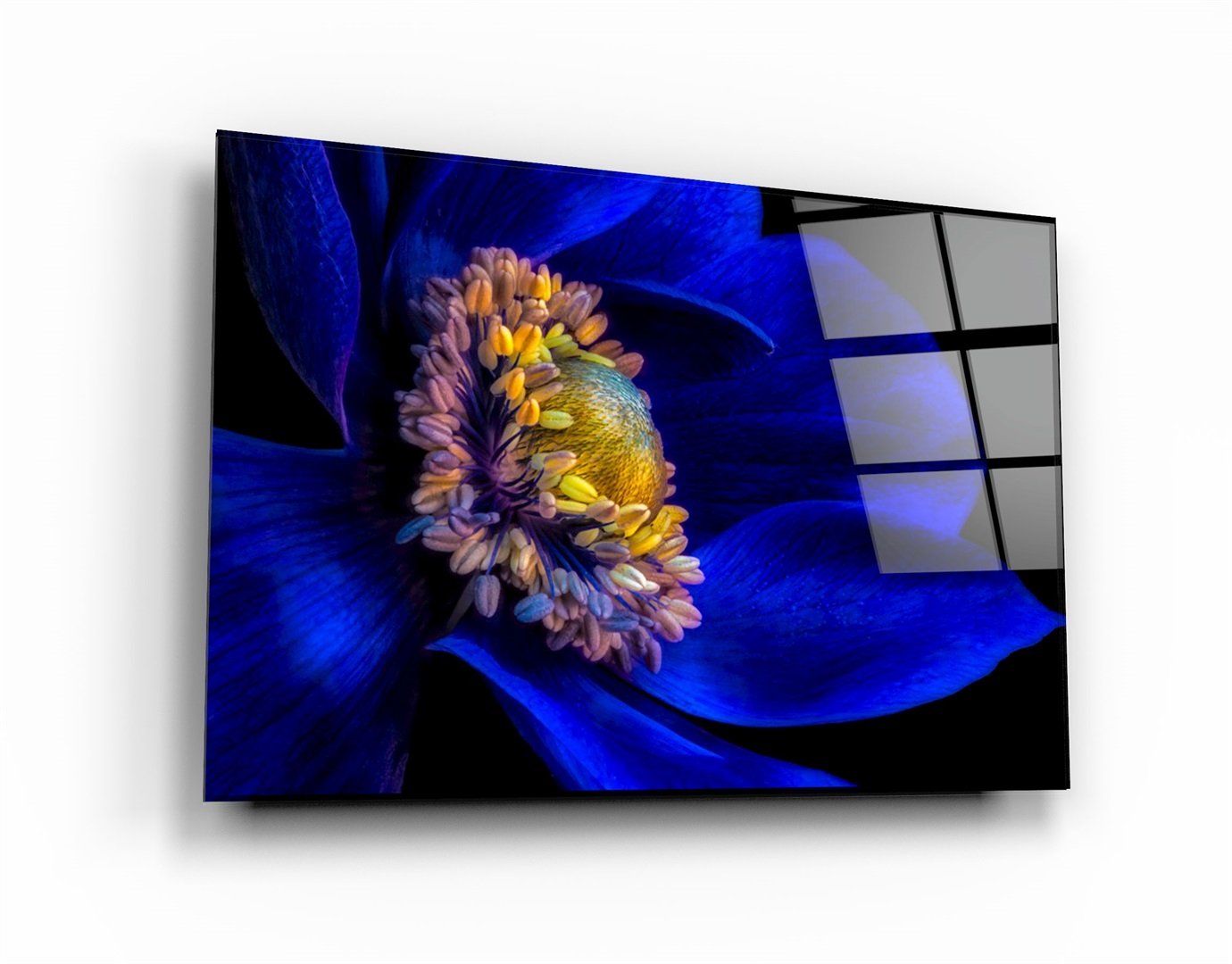 ・„Blaue Blume2“・<tc>Glasbild</tc>