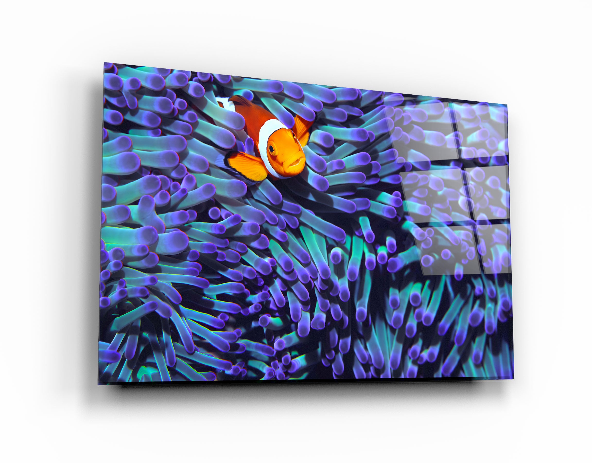 ・"Clownfish"・Glass Wall Art