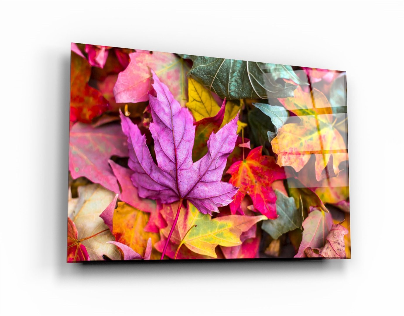 ・"Fall & Leaves"・Glass Wall Art