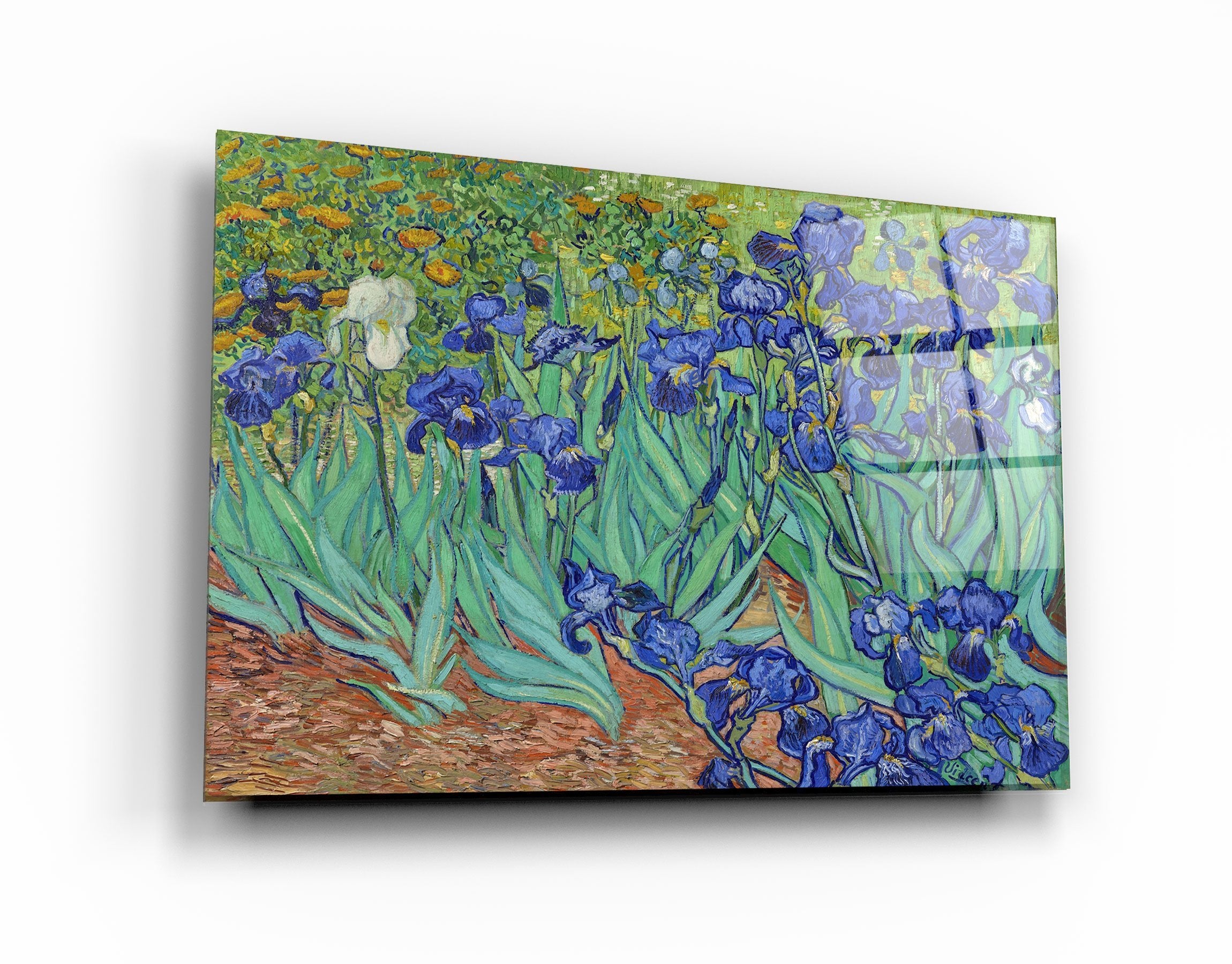 ・"Irises (1889) by Vincent Van Gogh"・Glass Wall Art