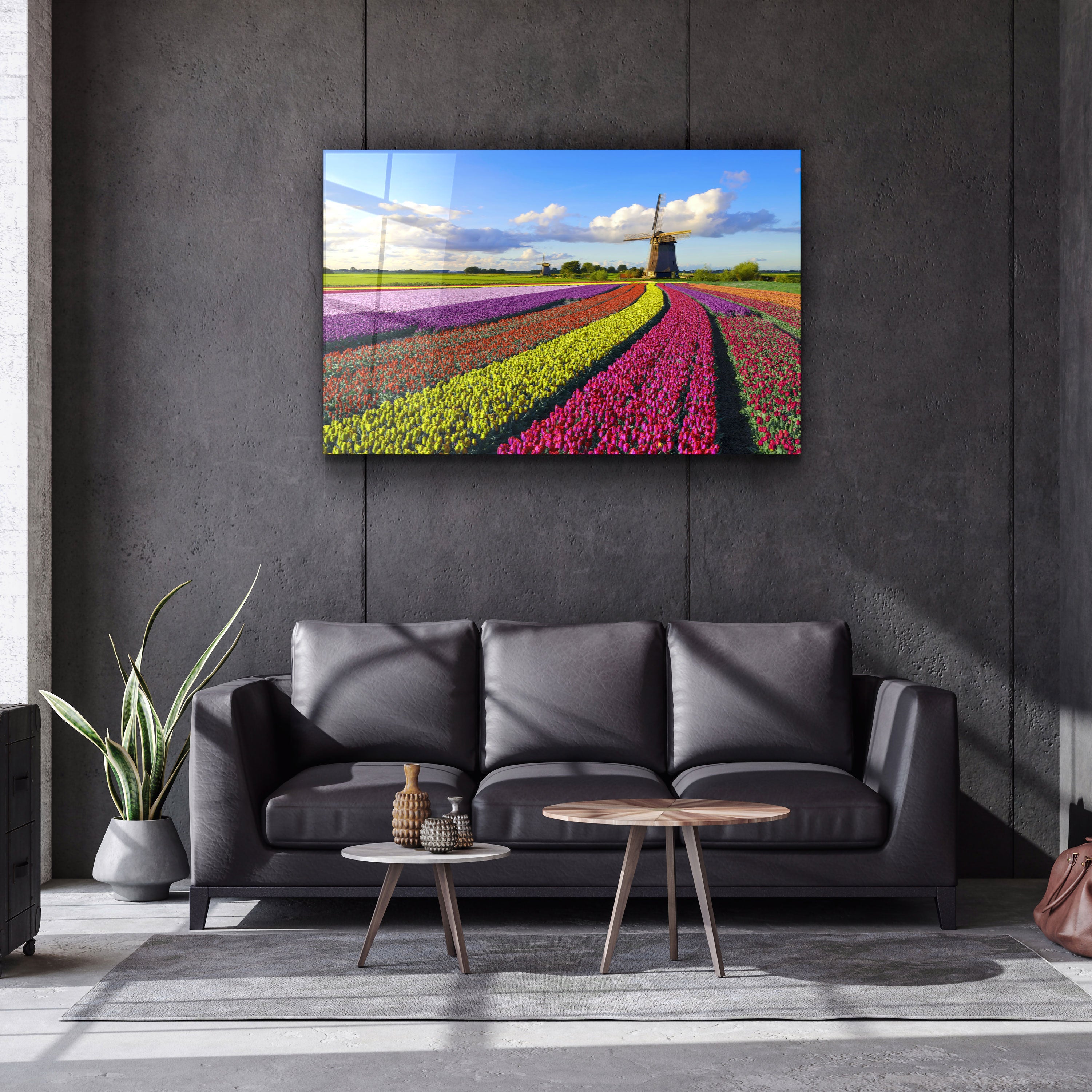 ・"Tulips Of Amsterdam"・Glass Wall Art