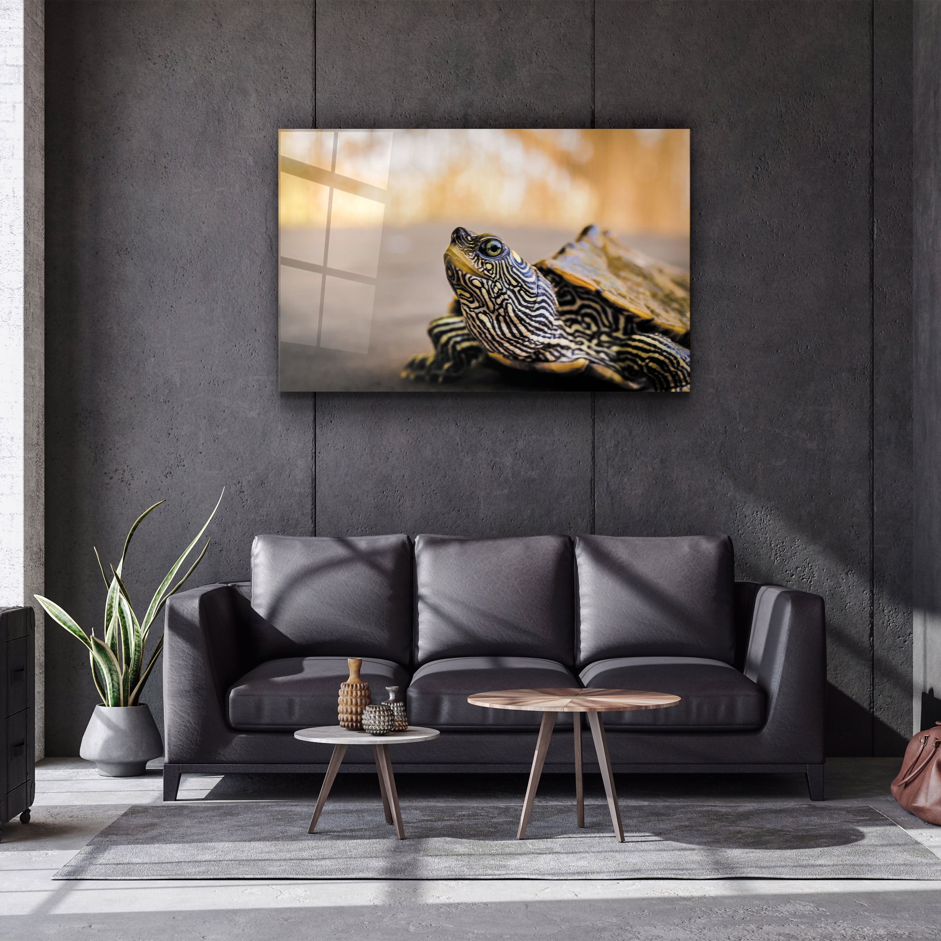 ・"Tortue rayée"・Art mural en verre